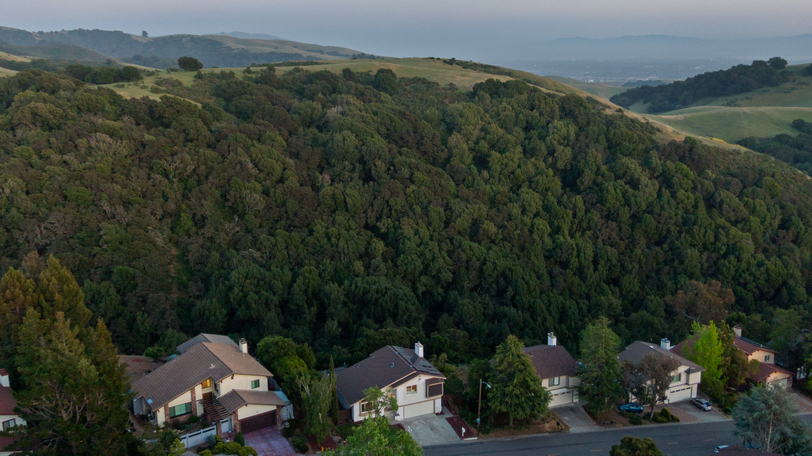 3495 Skyline Drive 068