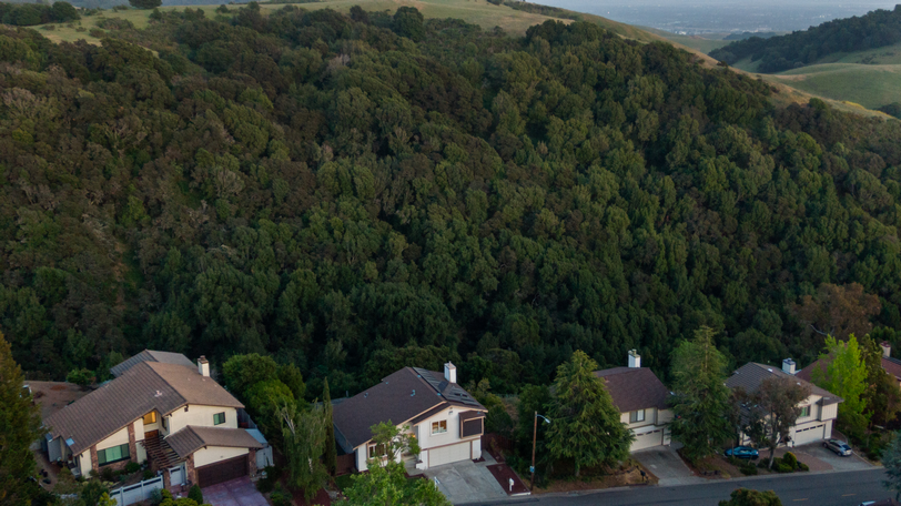 3495 Skyline Drive 069