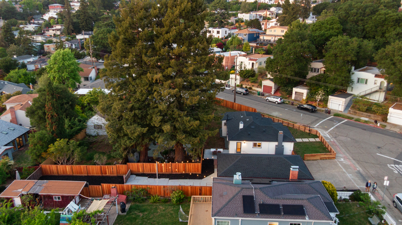 Aerial view highlighting the expansive lot, mature redwood trees, and private outdoor spaces that make this property truly unique.