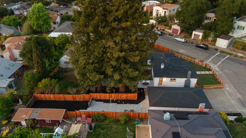 Aerial view highlighting the impressive mature redwood trees, expansive outdoor space, and private corner-lot setting.