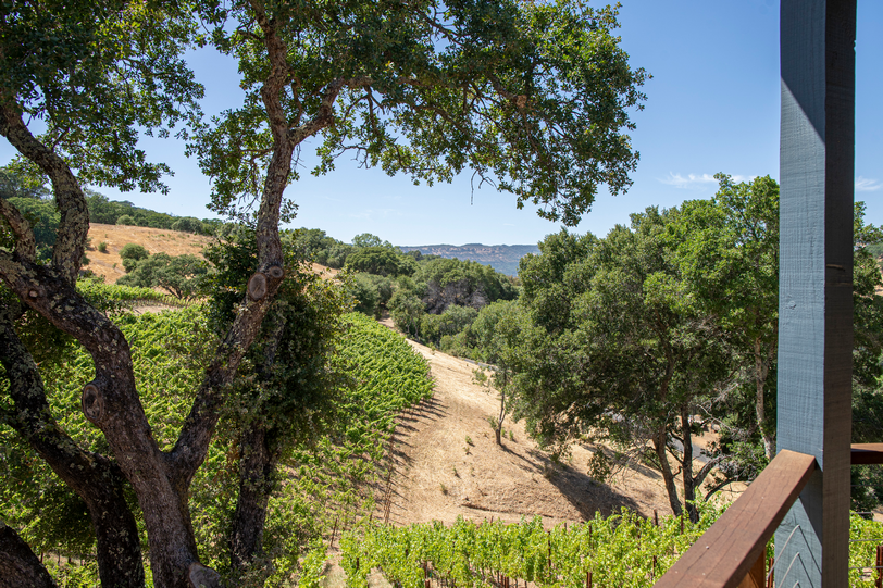 3165 Wooden Valley Rd 037